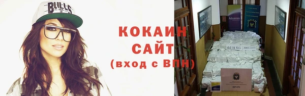 бошки Бородино