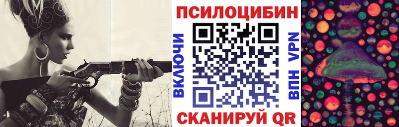 купить закладку  Вышний Волочёк  Псилоцибиновые грибы прущие грибы 
